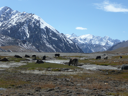 The great Karakoram treks - Trekking in Karakoram | Baltistan